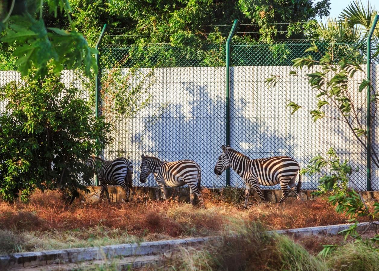 Aya Sophia Villa Garden Hotel Dar es Salaam Buitenkant foto
