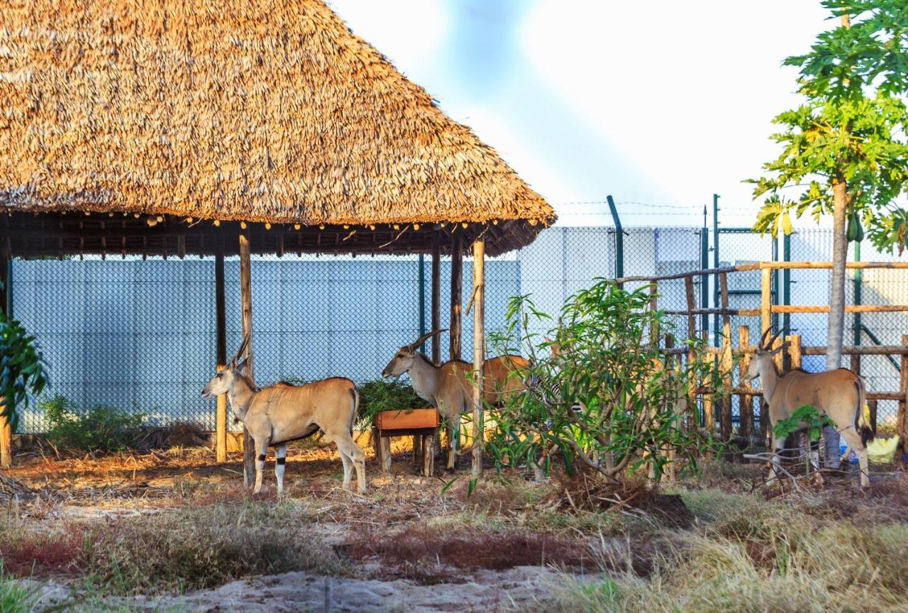 Aya Sophia Villa Garden Hotel Dar es Salaam Buitenkant foto